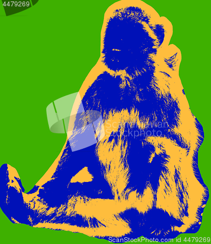 Image of Ape picture