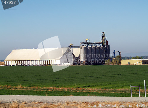 Image of Grain storage bins and sheds in field