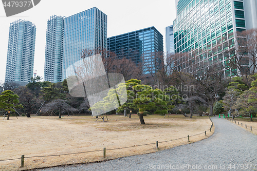 Image of hamarikyu gardens park in tokyo, japan