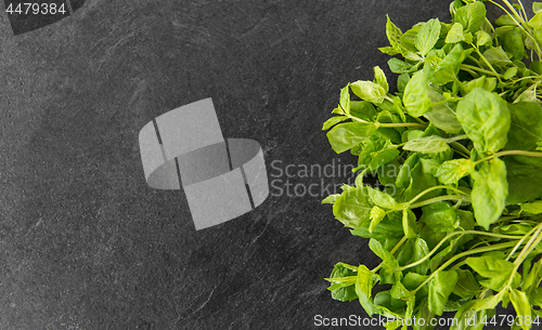 Image of green mint leaves on stone background