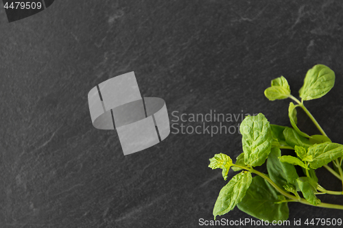 Image of green mint leaves on stone background