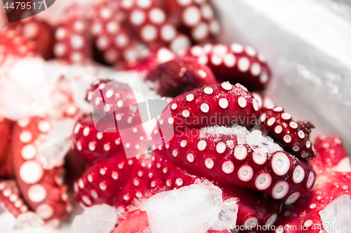 Image of close up of octopus at fish market