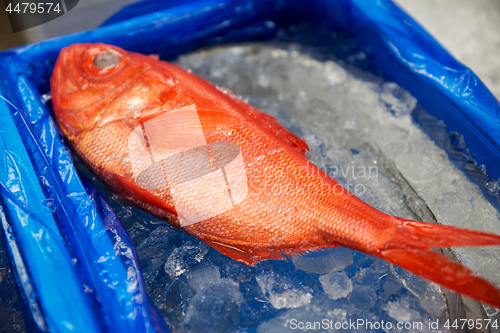 Image of fresh fish or seafood at japanese street market