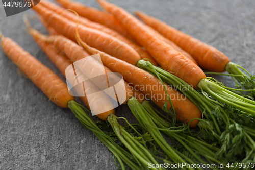 Image of close up of carrot bunch on table