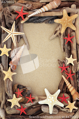 Image of Driftwood and Seashell Background  