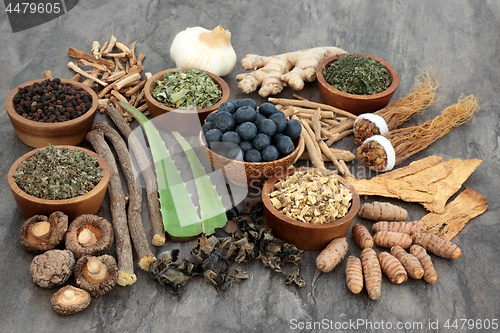 Image of Adaptogen Herbs Spice and Berry Fruit