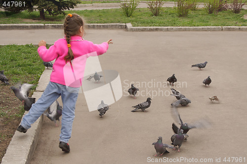 Image of feeding pigeons