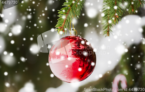 Image of red christmas ball on fir tree branch with snow