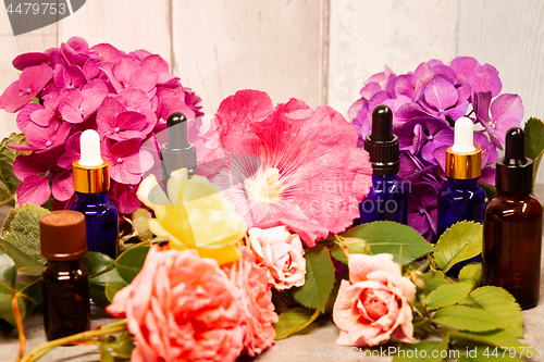 Image of flowers and bottles of essential oils for aromatherapy