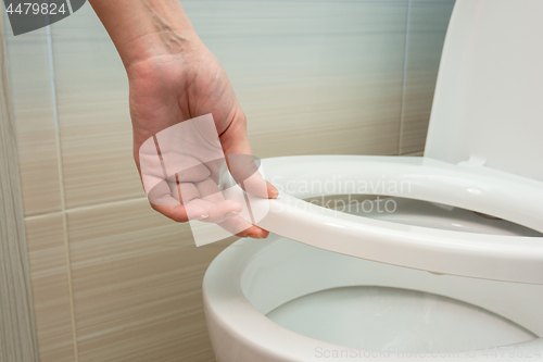 Image of Hand down or raise the toilet seat