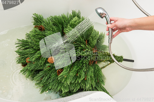 Image of Man washes an artificial Christmas tree in the bathroom