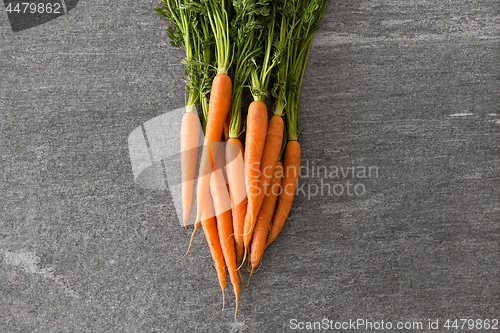 Image of close up of carrot bunch on table