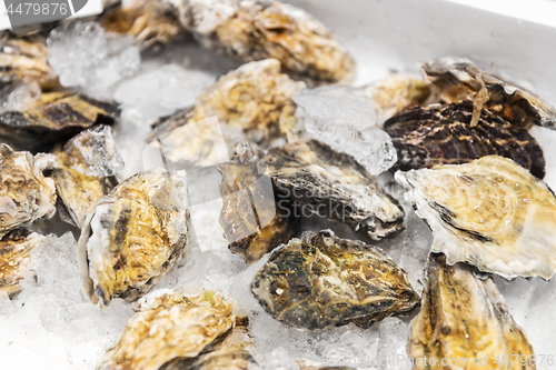 Image of close up of chilled oysters on ice at fish market