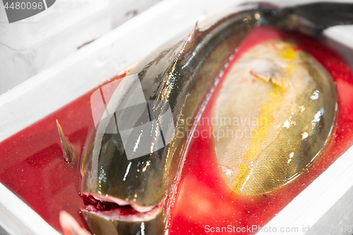 Image of fresh fish or seafood at asian street market