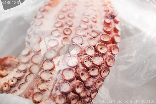 Image of close up of octopus at fish market