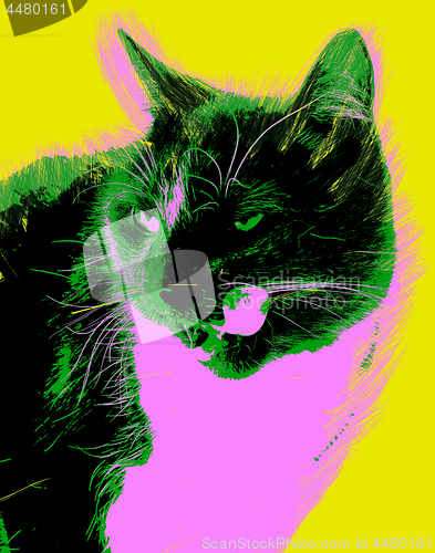 Image of Picture with cat over yellow background