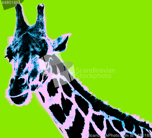 Image of Picture with giraffe over green background