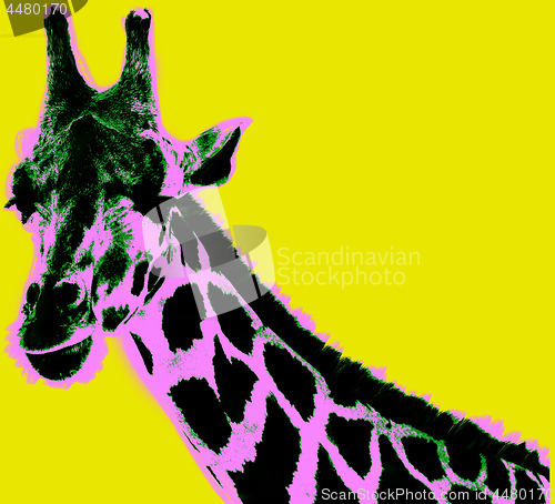 Image of Picture with giraffe over yellow background