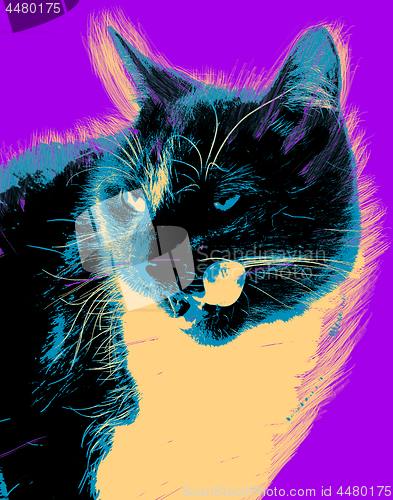 Image of Picture with cat over purple background