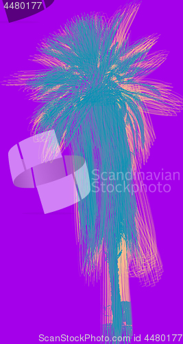 Image of Poster with palm tree