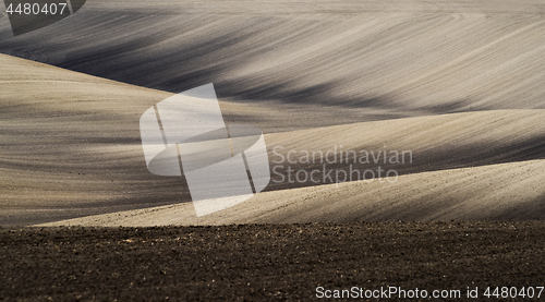 Image of Field in springtime