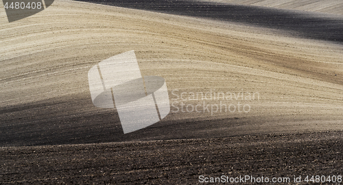 Image of Field in springtime