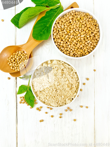 Image of Flour soy with soybeans and leaf on light board top