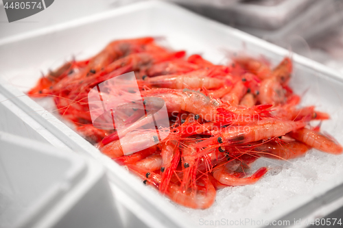 Image of fresh shrimps or seafood on ice at street market