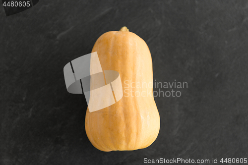 Image of ripe pumpkin on stone background