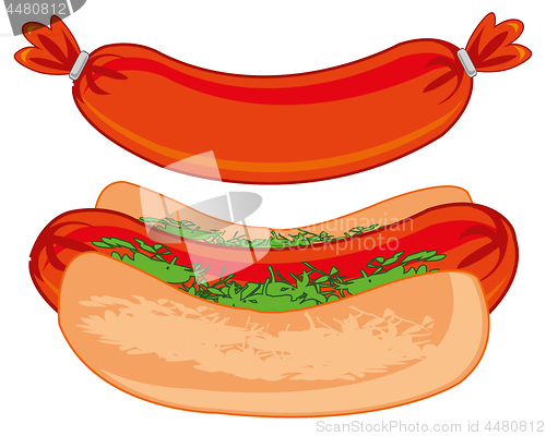 Image of Vector illustration of meal of the quick preparation hot dog