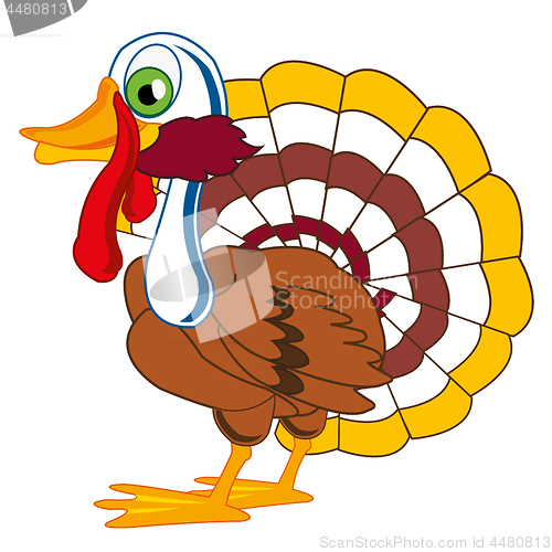 Image of Bird turkey on white background is insulated