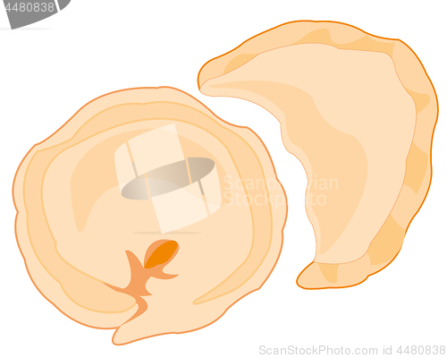 Image of Meal meat dumplings on white background insulated