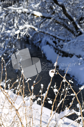 Image of Winter landscape