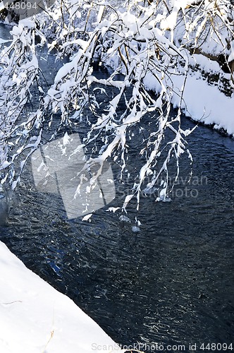 Image of Winter landscape