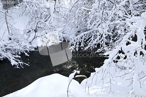 Image of Winter landscape