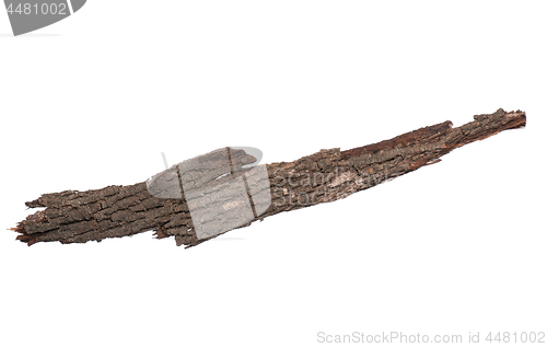 Image of Tree bark on white 