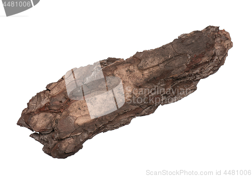 Image of Tree bark on white 