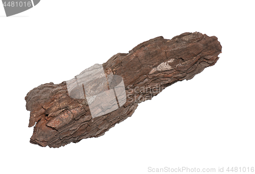 Image of Tree bark on white 