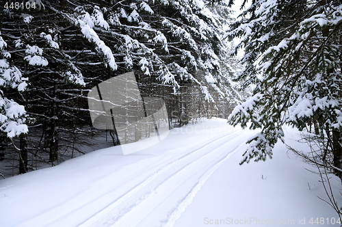 Image of Winter landscape