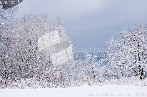 Image of Winter landscape