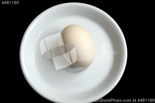 Image of One egg