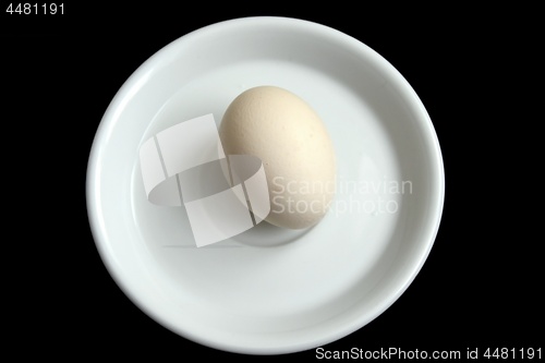 Image of One egg