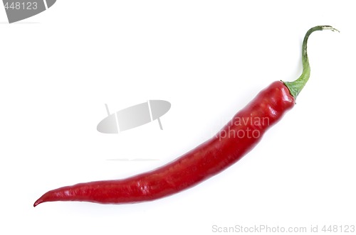 Image of Red hot chili pepper