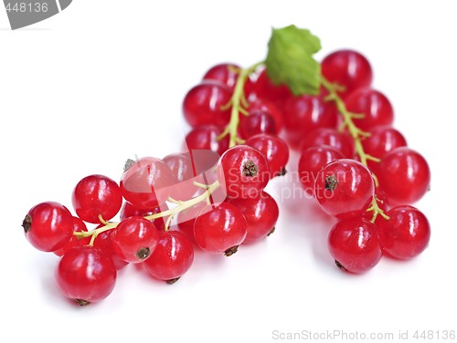 Image of Red currants