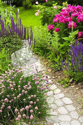 Image of Path in blooming garden