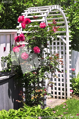 Image of White arbor in a garden