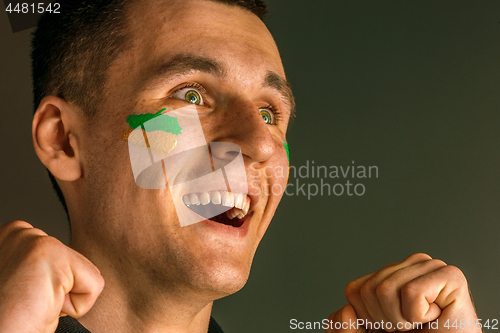 Image of Portrait of a man with the flag of the Brazil painted on him face.