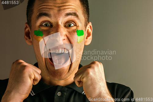 Image of Portrait of a man with the flag of the Brazil painted on him face.