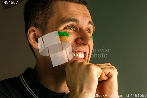 Image of Portrait of a man with the flag of the Brazil painted on him face.