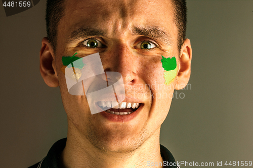 Image of Portrait of a man with the flag of the Brazil painted on him face.